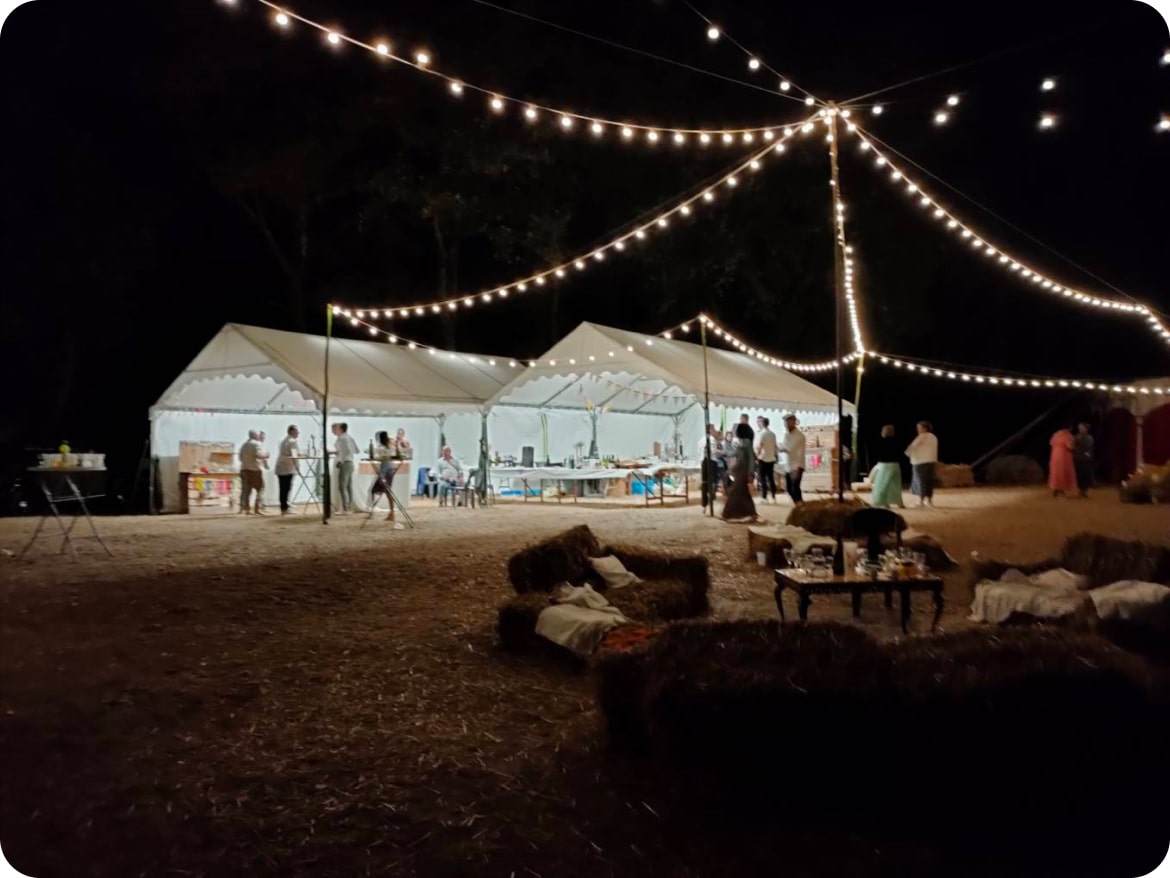 Jardin festif avec guirlandes